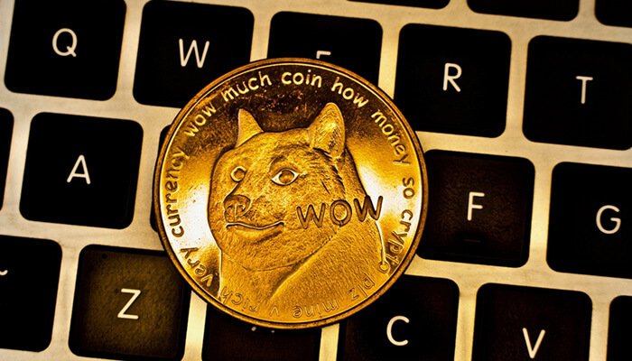 دوج کوین (Doge coin) چیست؟ قیمت دوج کوین؟